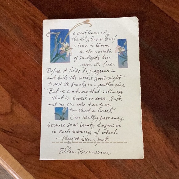 Mod by Design π Mother of Pearl/Horn, Cross Body Bag VNVC - Picture 15 of 16